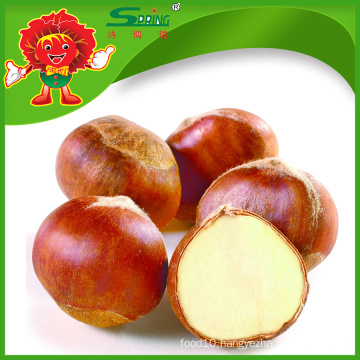 natural planting IQF frozen chestnut wholesale chestnut sell directly from farmer